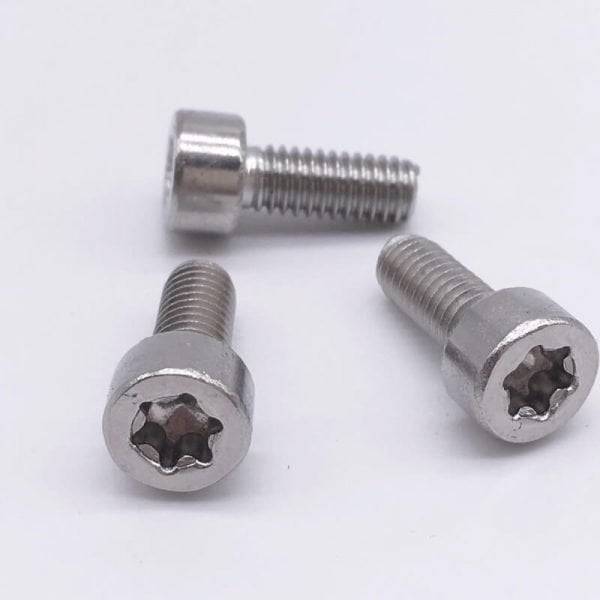 Torx screws stainless steel