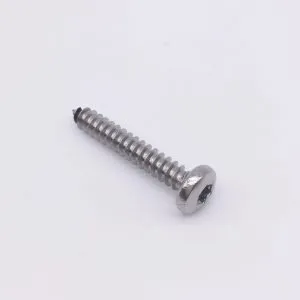 Torx self tapping screws