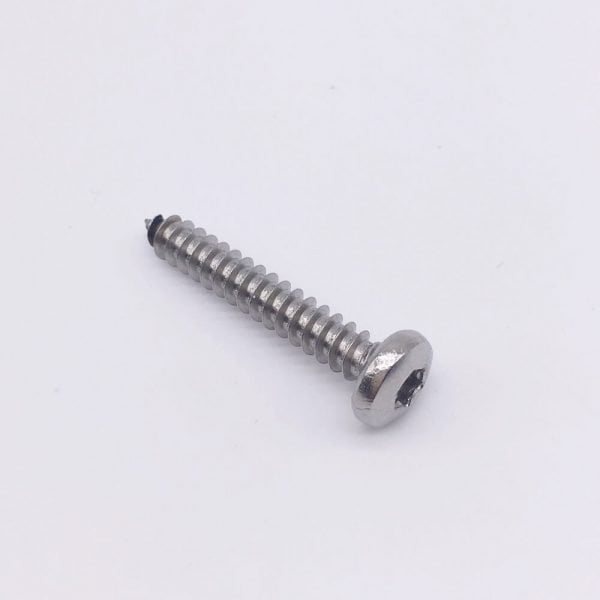 Torx self tapping screws