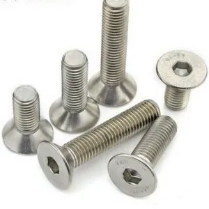 Stainless Steel Cap Screws