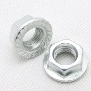 Hex Flange Nuts