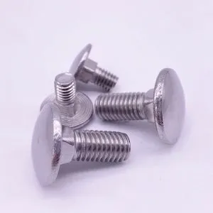 Carriage Bolts Stainless