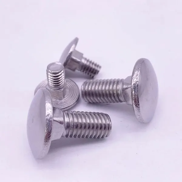 Carriage Bolts Stainless