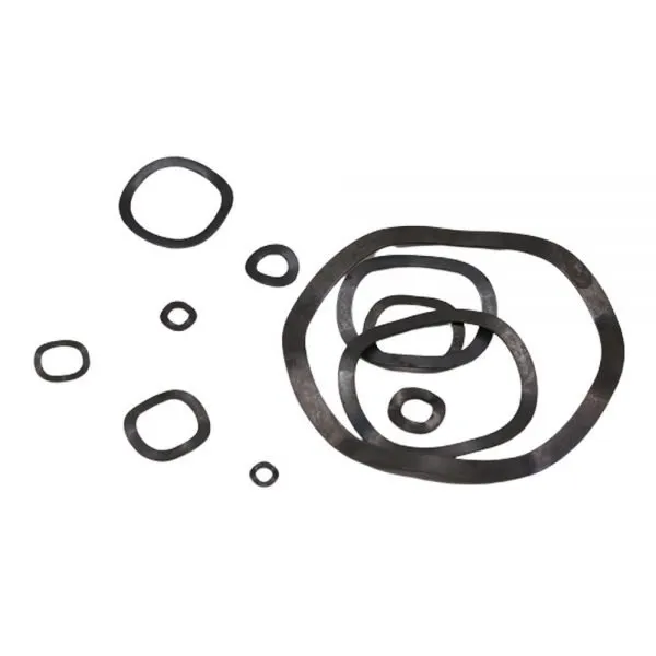 Wave Spring Washers Undee used in Electric Machines