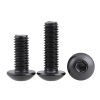 black stainless cap screws
