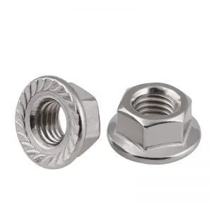 Stainless Steel 316 Flange Nuts