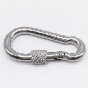 Carabiner Snap Hook with Eye and Screw Lock