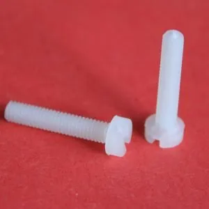 PVDF Slotted Cheese Head Screws