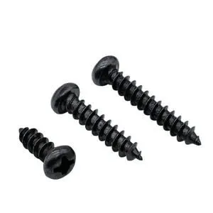 black ss pan head screws