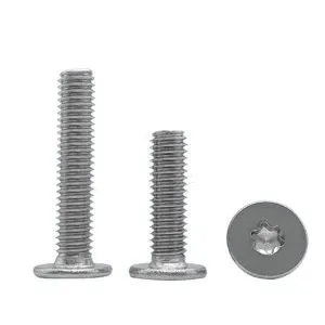 Wafer Head Screws Torx Drive M6