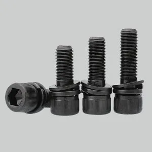 Black Stainless SEMS screws