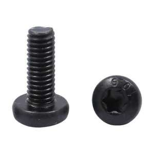 Rang 10.9 Torx-schroeven Pan Hoofd Zwarte Kleur