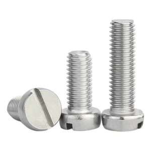 Viti a testa cilindrica con intaglio in acciaio inox 316