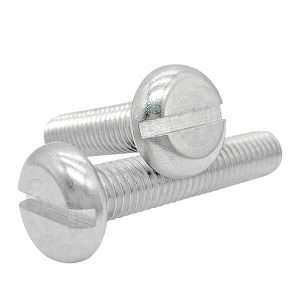 Viti a testa cilindrica con intaglio in acciaio inox 316 (1)