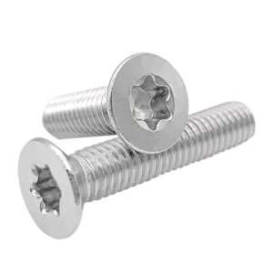 316 roestvrij staal Torx schroeven